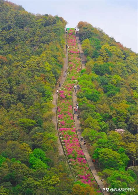 梧桐山|深圳梧桐山游玩攻略，附登山入口及难度系数